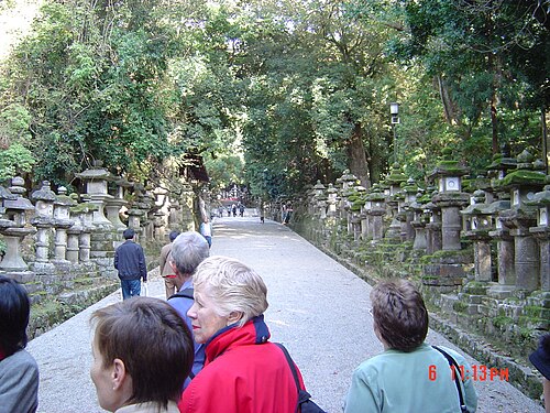 神社に続く道には石灯籠が並んでいる