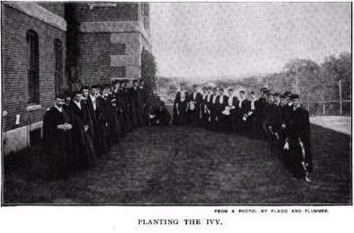 ハソーン ホールのアイビー デーにアイビーを植え、クラスのアイビー ストーンを敷く様子 (1895 年頃)